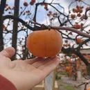 贺州旅游 缩略图 3