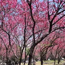桂林旅游 缩略图 5
