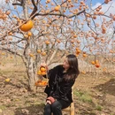 贺州旅游 缩略图 2