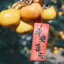 桂林旅游 缩略图 8