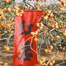 桂林旅游 缩略图 6