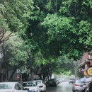 桂林旅游 缩略图 1