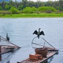 桂林旅游 缩略图 9