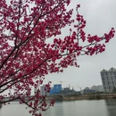 赣州旅游 缩略图 4