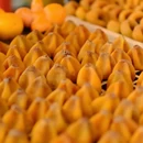 桂林旅游 缩略图 7