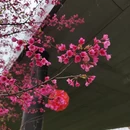 赣州旅游 缩略图 3