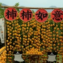 桂林旅游 缩略图 3