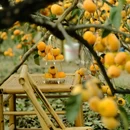 桂林旅游 缩略图 4