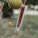 桂林旅游 缩略图 8