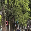 桂林旅游 缩略图 2