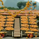 桂林旅游 缩略图 5