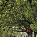 桂林旅游 缩略图 6
