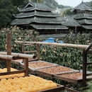 桂林旅游 缩略图 15