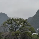 桂林旅游 缩略图 12
