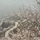 北京旅游 缩略图 3