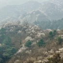北京旅游 缩略图 8