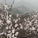北京旅游 缩略图 6
