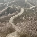 北京旅游 缩略图 7