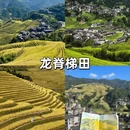 桂林旅游 缩略图 2