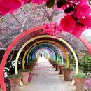 南宁旅游 缩略图 4