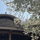 桂林旅游 缩略图 3