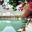 南宁旅游 缩略图 12