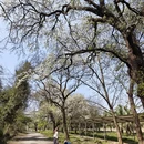 桂林旅游 缩略图 10