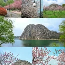 苏州旅游 缩略图 1