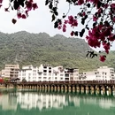 南宁旅游 缩略图 13
