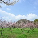 苏州旅游 缩略图 2