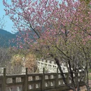 苏州旅游 缩略图 15