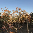 桂林旅游 缩略图 2