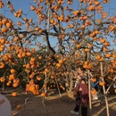 桂林旅游 缩略图 3