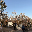 桂林旅游 缩略图 4
