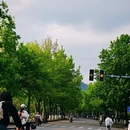 桂林旅游 缩略图 1