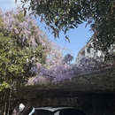 桂林旅游 缩略图 4