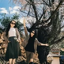 林芝旅游 缩略图 4