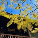 桂林旅游 缩略图 5