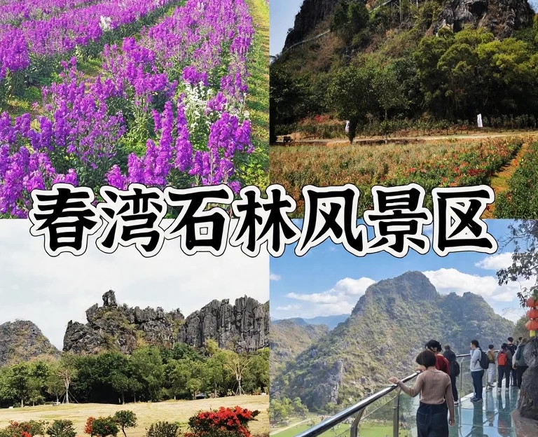 阳江旅游 1