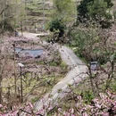 成都旅游 缩略图 10