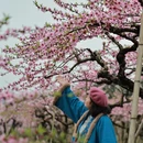 桂林旅游 缩略图 2