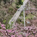 成都旅游 缩略图 16