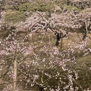 桂林旅游 缩略图 1