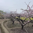 桂林旅游 缩略图 6