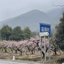 桂林旅游 缩略图 7