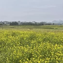 桂林旅游 缩略图 4