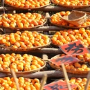桂林旅游 缩略图 9
