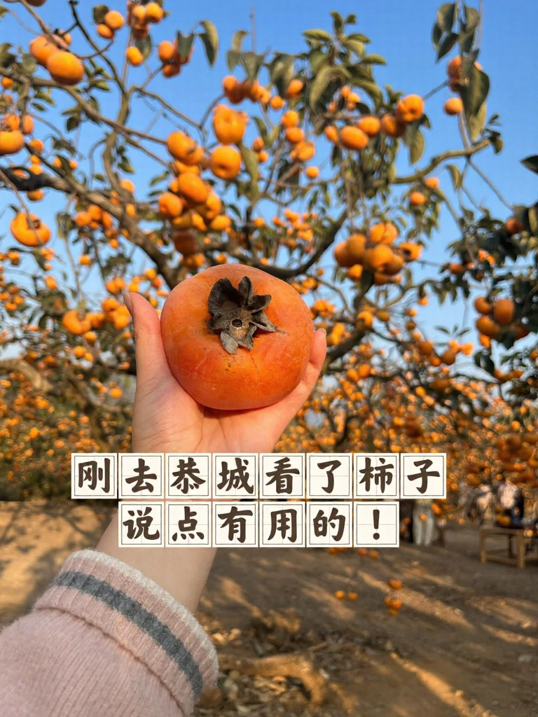 桂林旅游