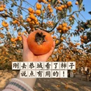 桂林旅游 缩略图 1