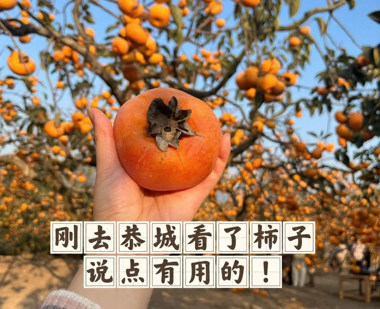 桂林旅游 1